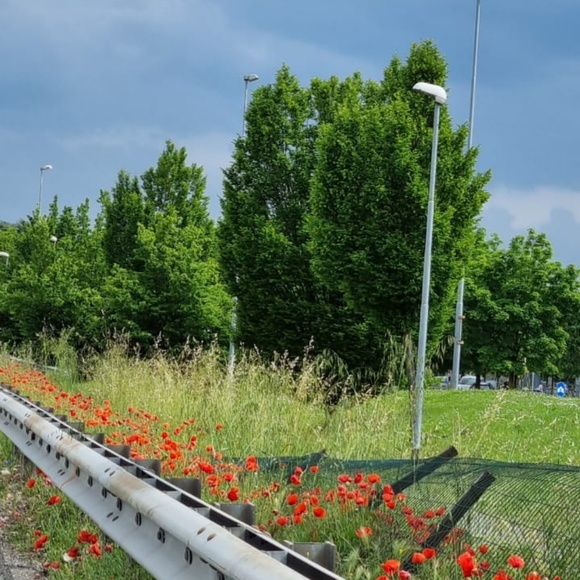 Meet your Posher, Celia - Picture 1 of 1